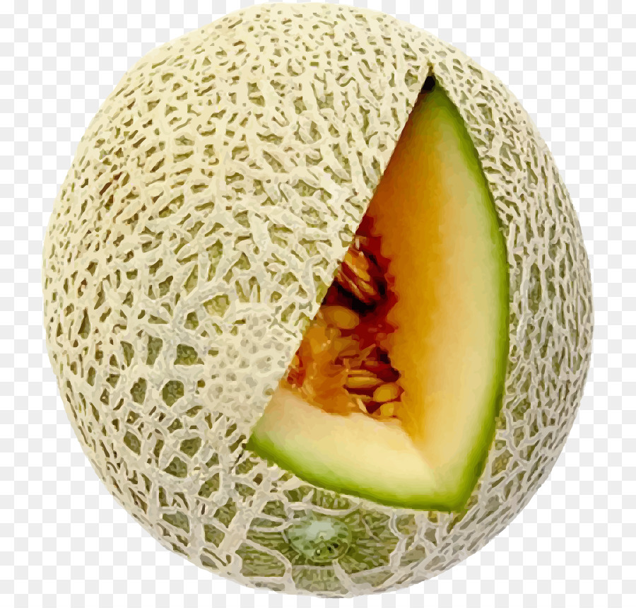 Melón，Melón Hami PNG