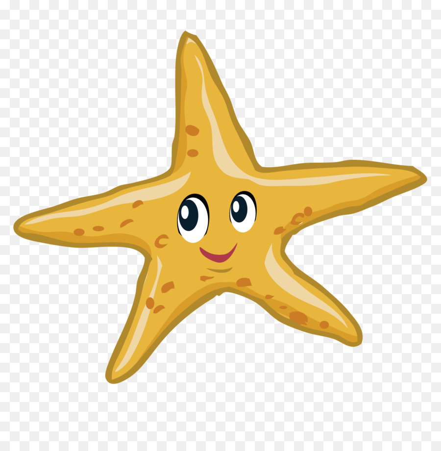 Estrella De Mar，Descargar PNG