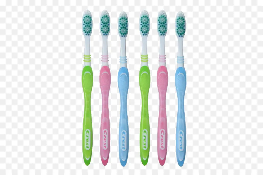 Cepillos De Dientes，Cerdas PNG