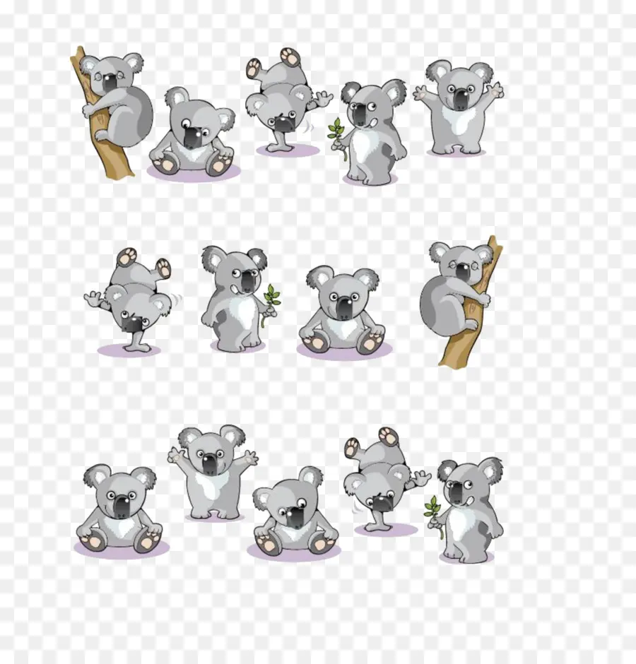 Koalas，Lindo PNG