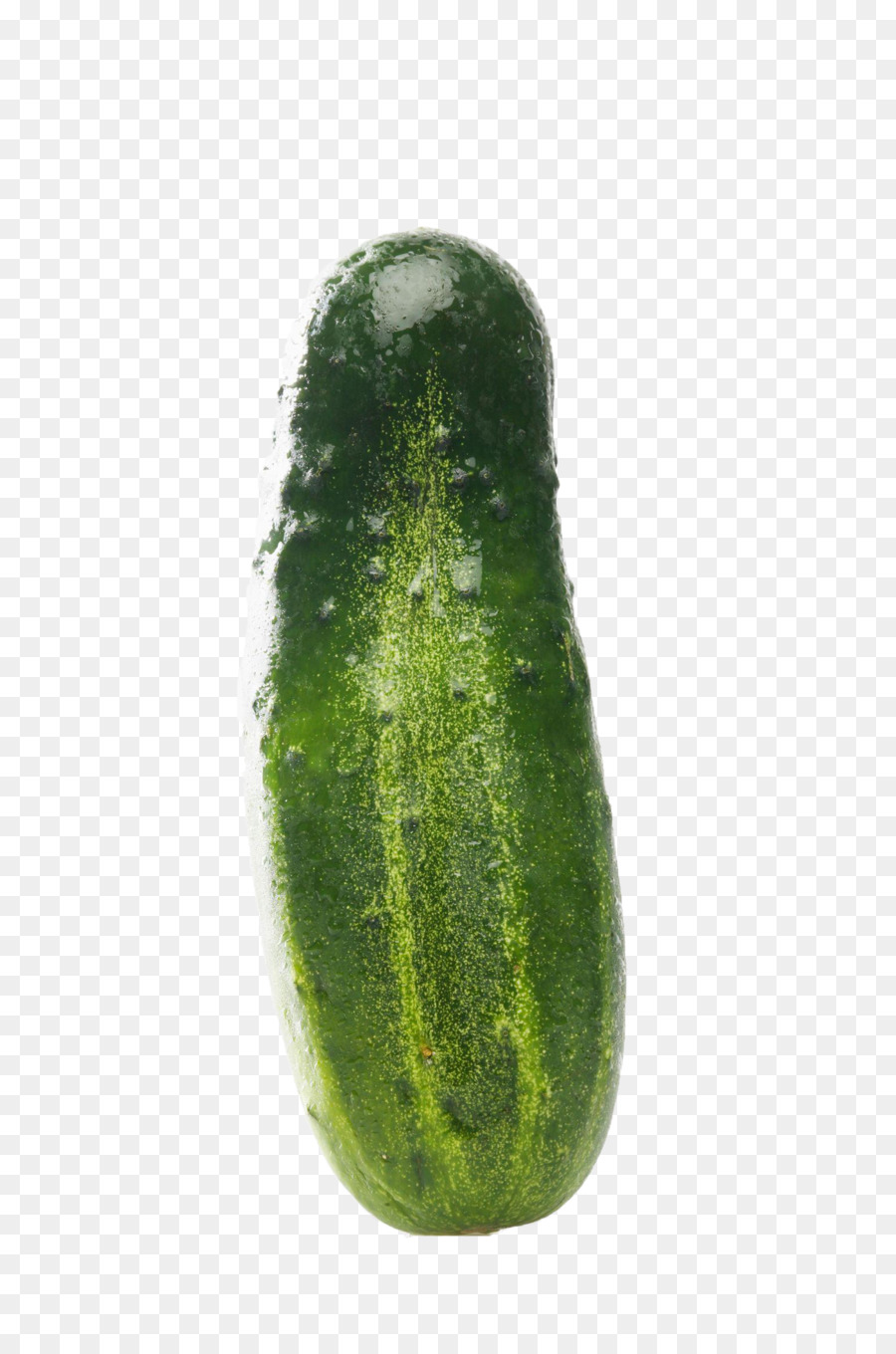 Pepino，Pepino Encurtido PNG