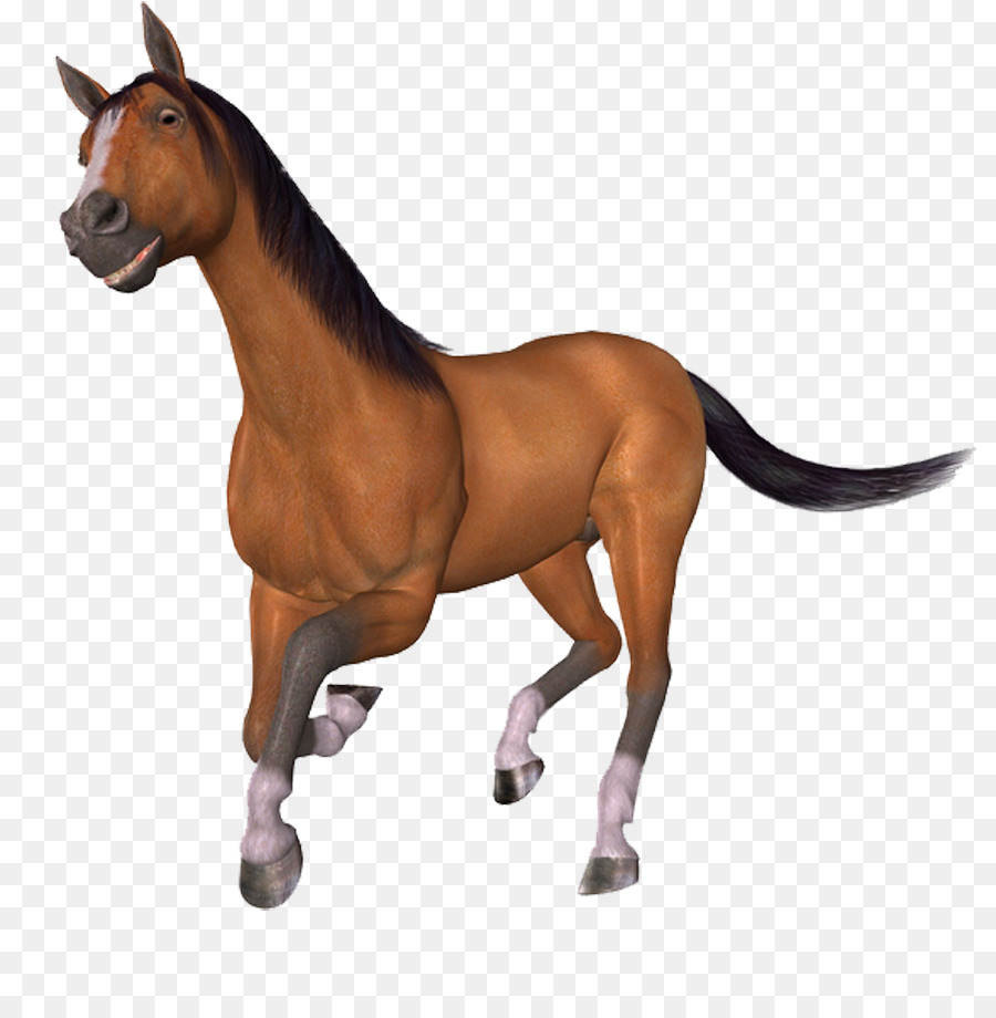 Caballo De Juguete，Caballo PNG