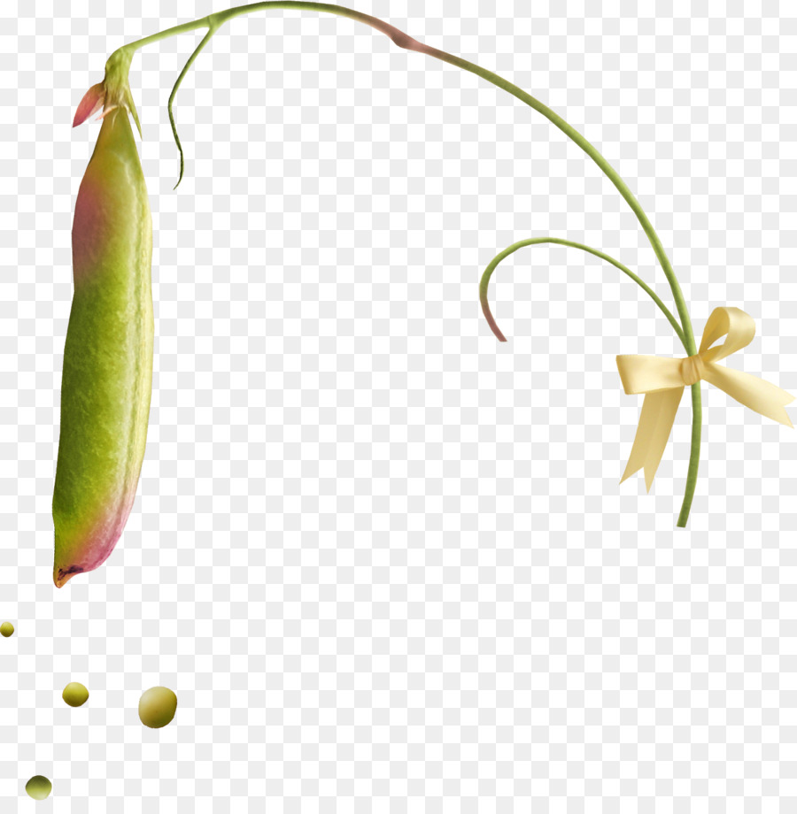 Pea，La Comida PNG