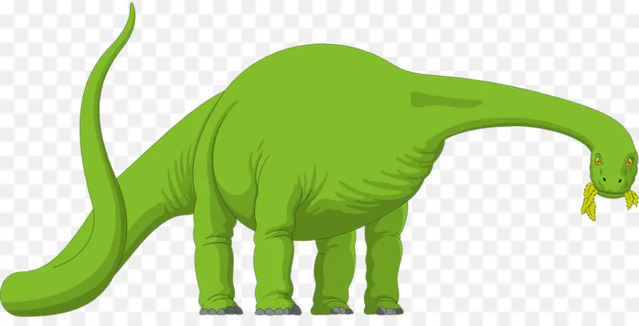 Brachiosaurio，Dinosaurio PNG