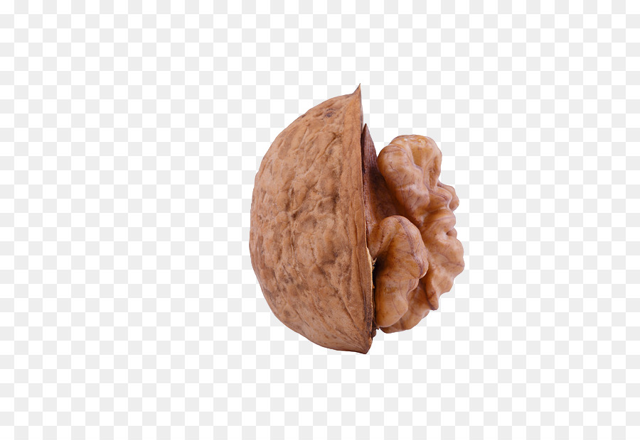 Walnut，Nut PNG