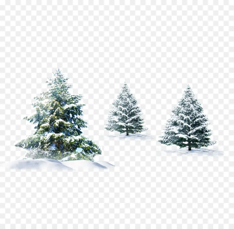 Navidad，árbol De Navidad PNG