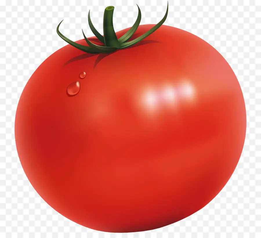 Tomate Ciruela，Bush Tomate PNG