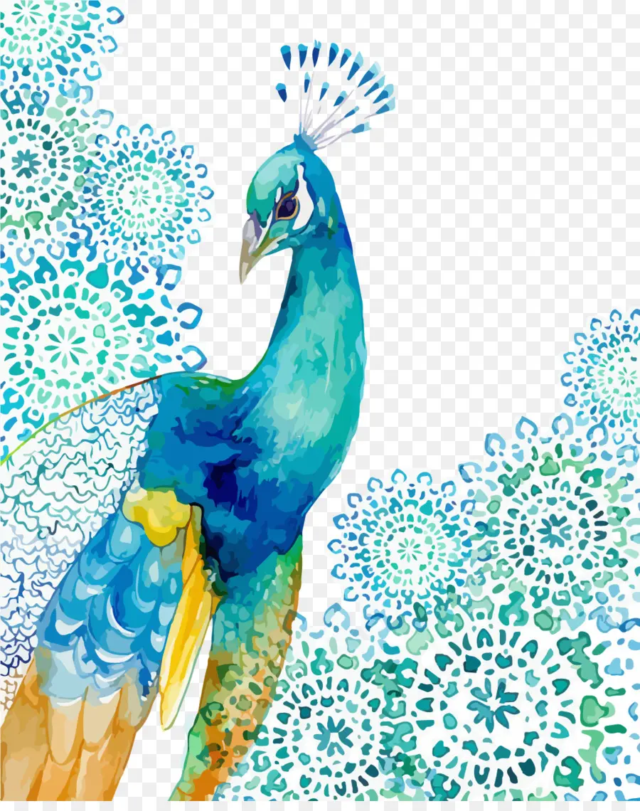 Pavo Real，Pintura PNG