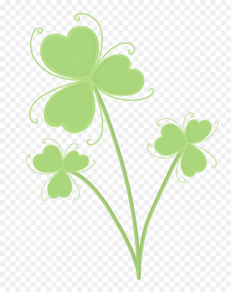 Shamrock，Hoja PNG