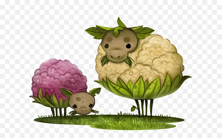 La Coliflor，De Dibujos Animados PNG