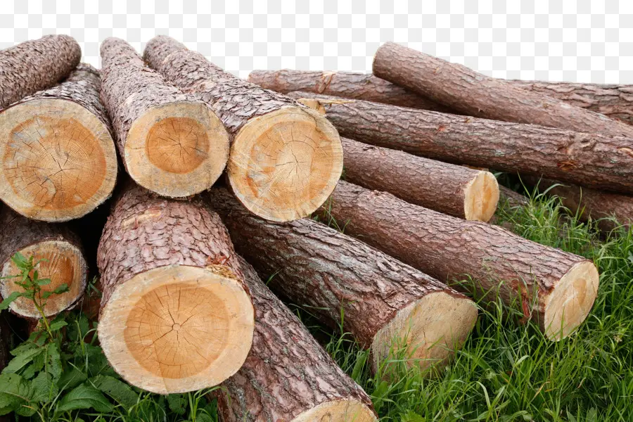 La Madera，Medidor De Humedad PNG