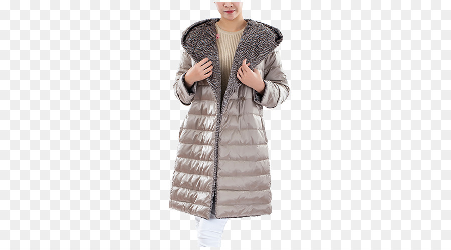 Prendas De Vestir Exteriores，Chaqueta PNG