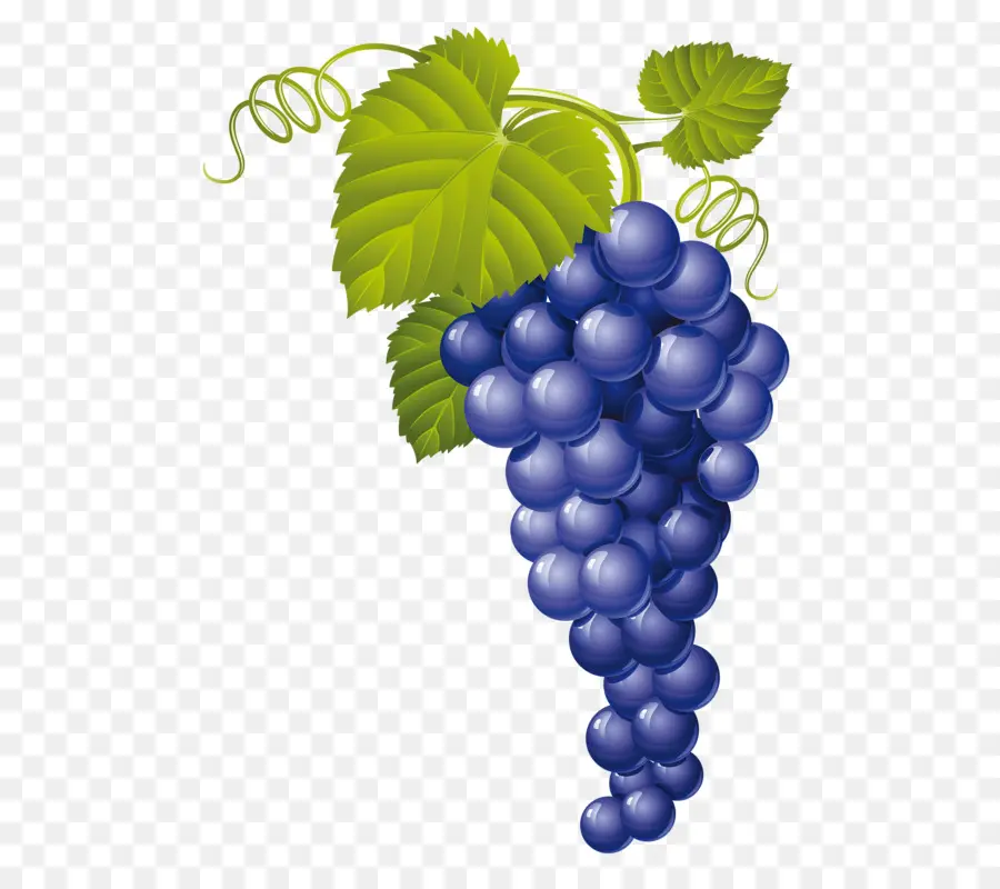 Muscat，Vino PNG