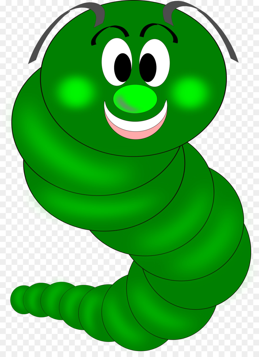 Oruga，Larva PNG