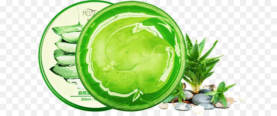 Aloe Vera，Gel PNG