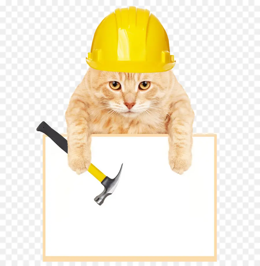 Gato De Construcción，Casco PNG