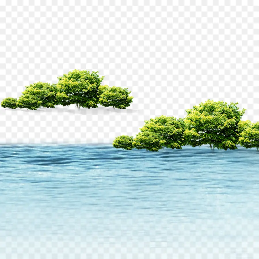 Arboles Y Agua，árboles PNG