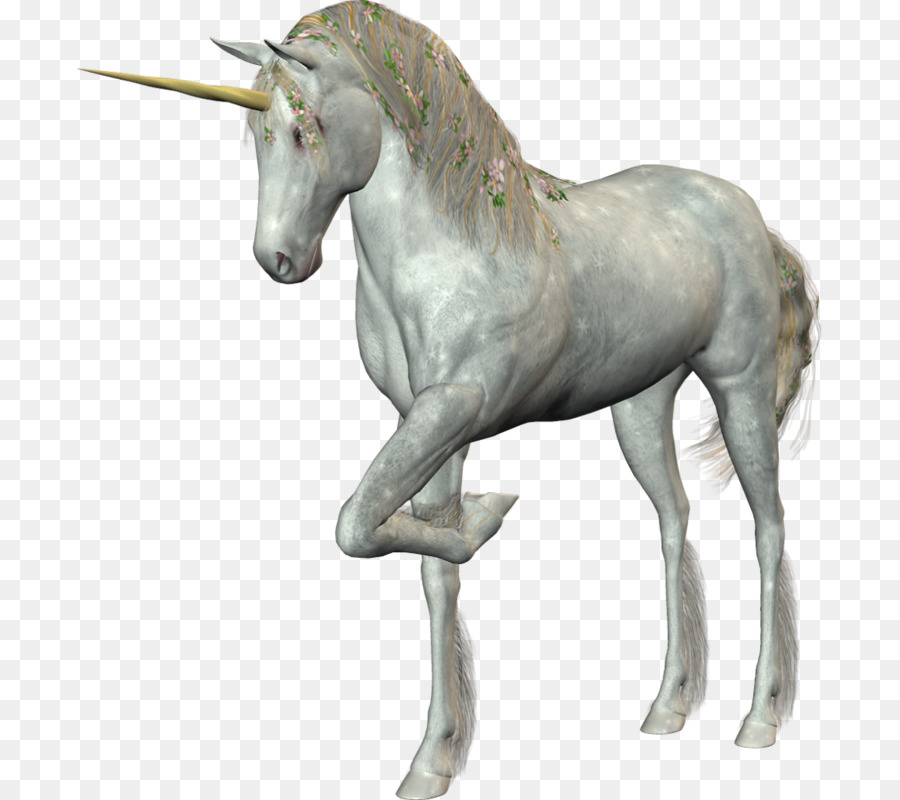 Negro Unicornio，Unicornio PNG