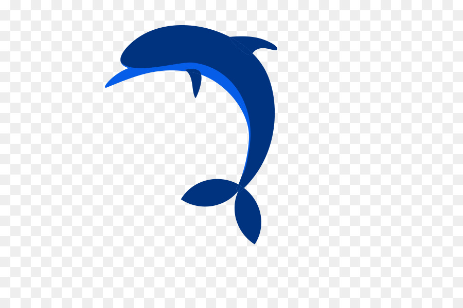 Aris，Dolphin PNG