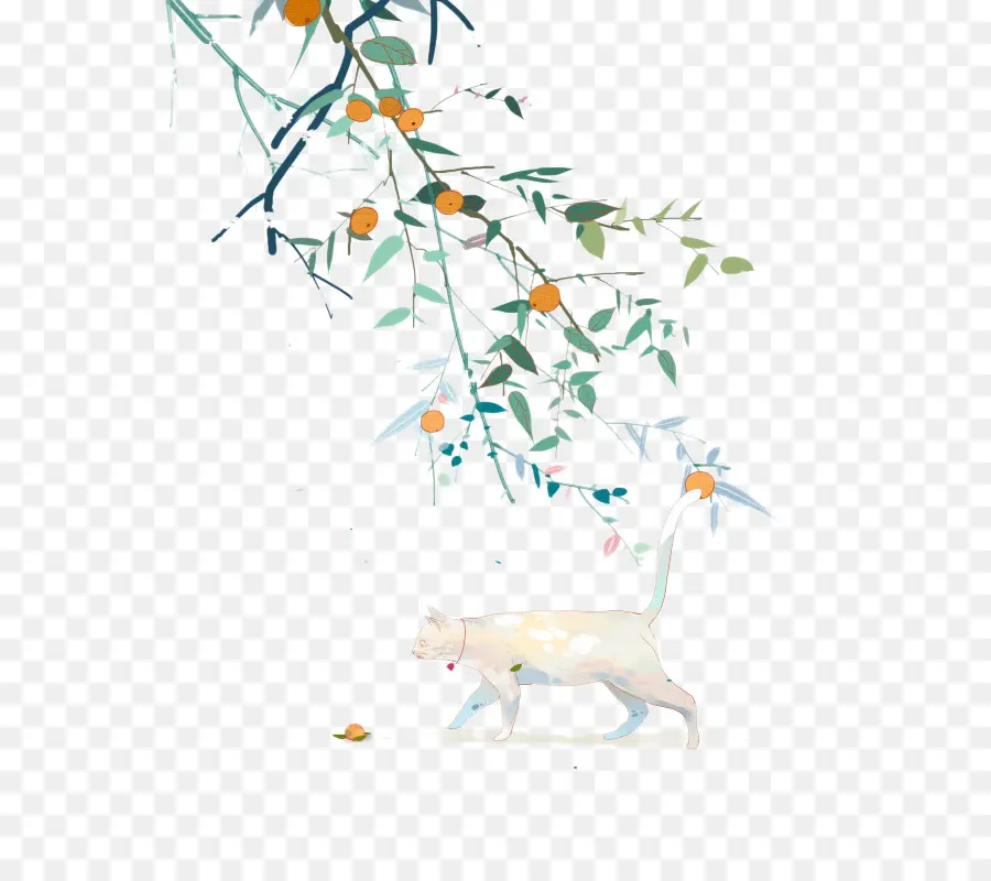 Gato Blanco，Naturaleza PNG