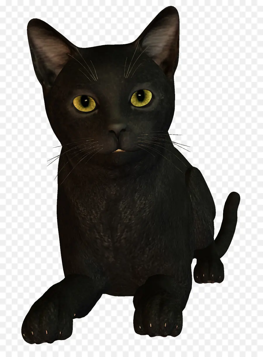 Gato Negro，Mascota PNG