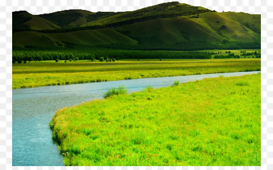 Campo Verde Y Río，Naturaleza PNG