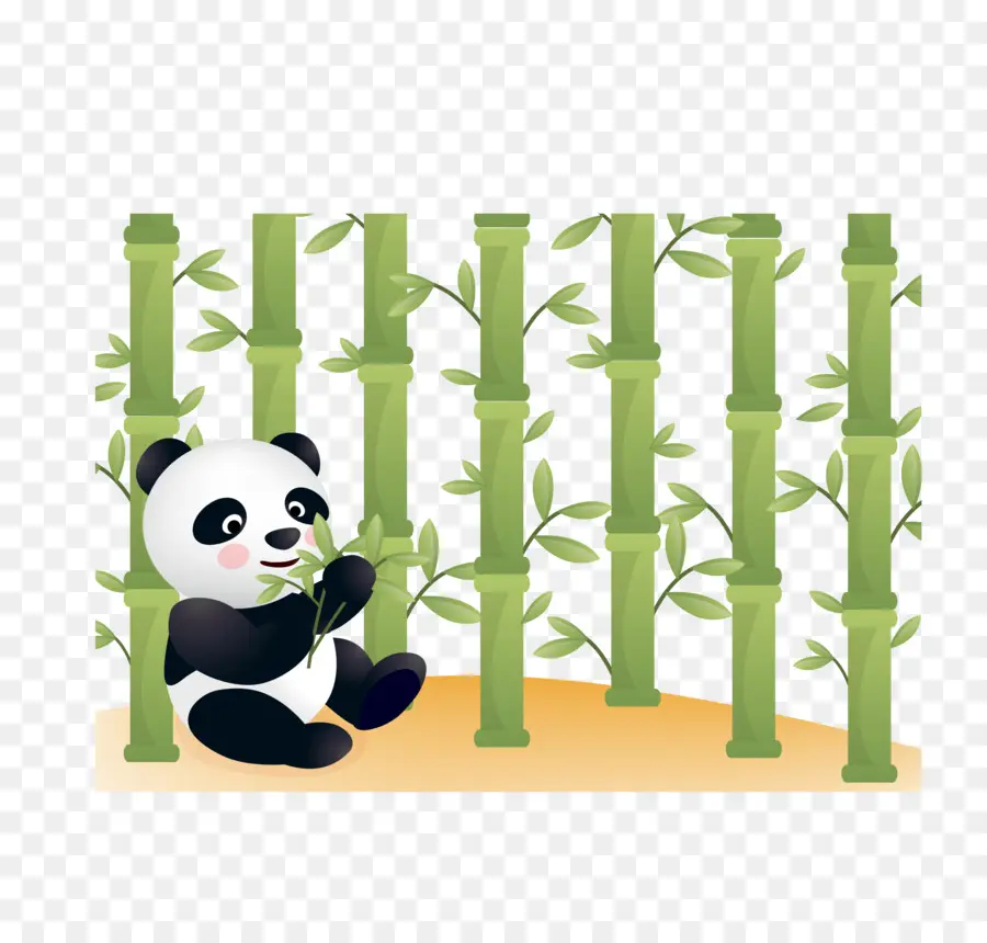 Panda，Bambú PNG