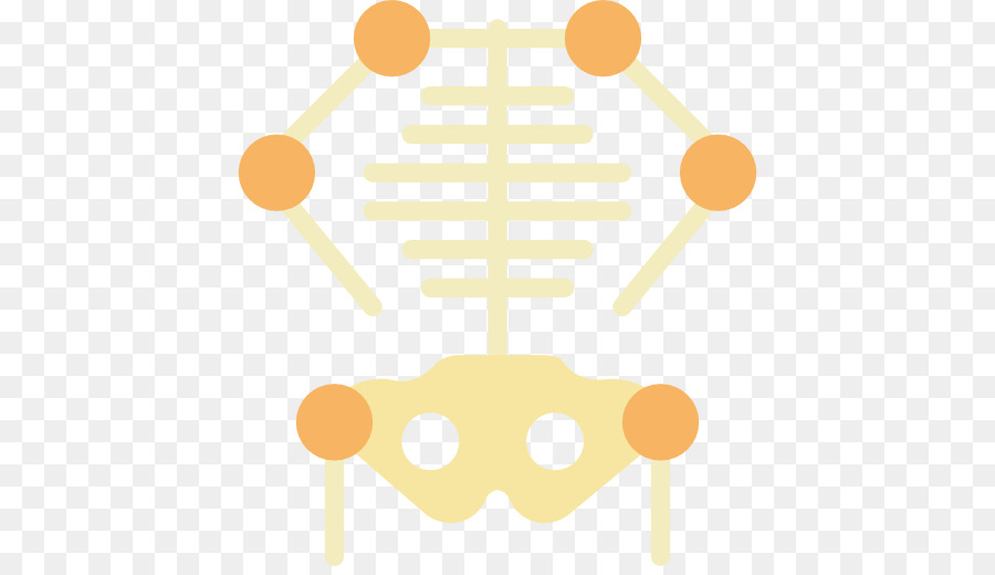 Hueso，Esqueleto PNG
