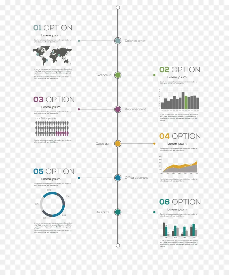 Infografía De Línea De Tiempo，Opciones PNG