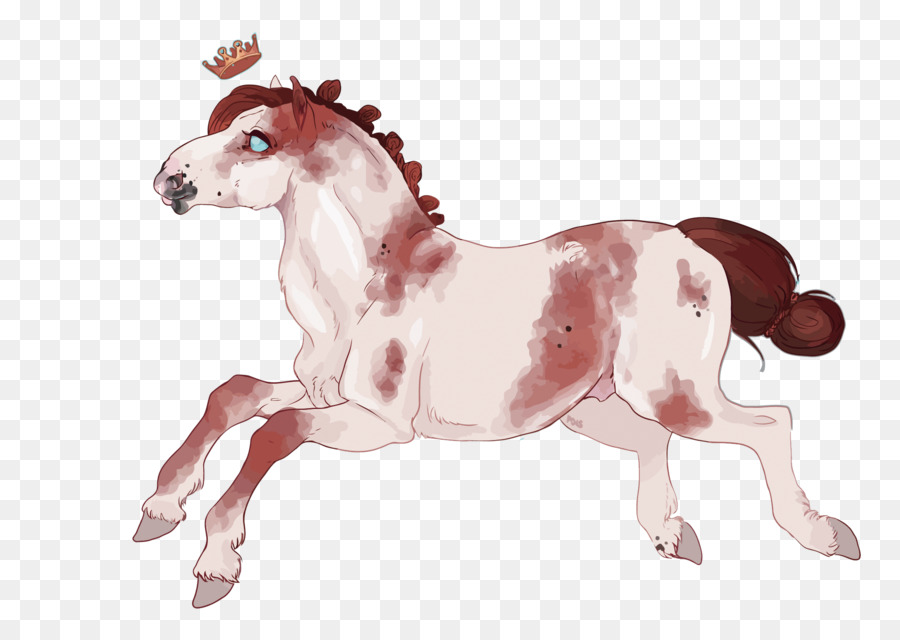 Mustang，Pony PNG