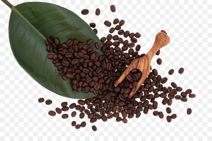 Granos De Café，Hoja PNG