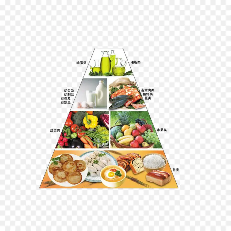 Nutrientes，La Pirámide De Los Alimentos PNG