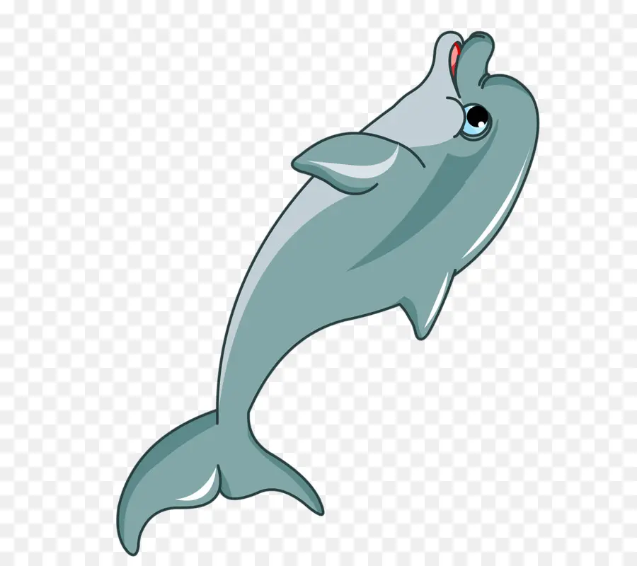 Dolphin，De Dibujos Animados PNG