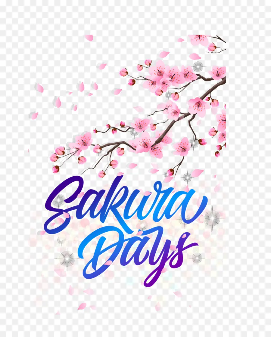 Días De Sakura，Flores De Cerezo PNG