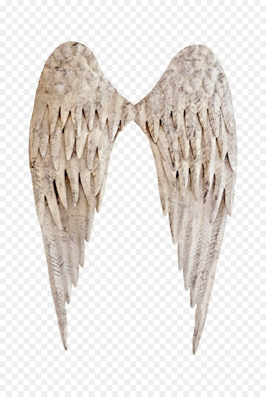 Alas De ángel，Plumas PNG