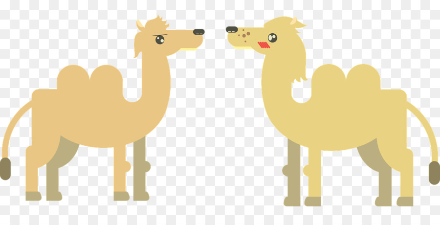 Camellos，Desierto PNG