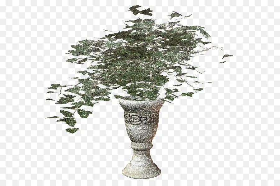 Planta，Florero PNG