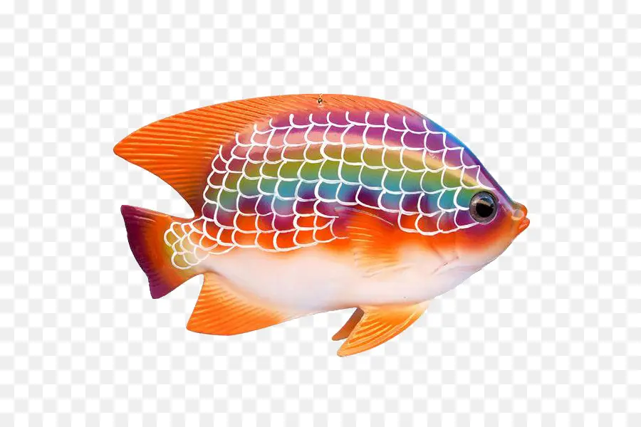 Peces Tropicales，Los Peces PNG