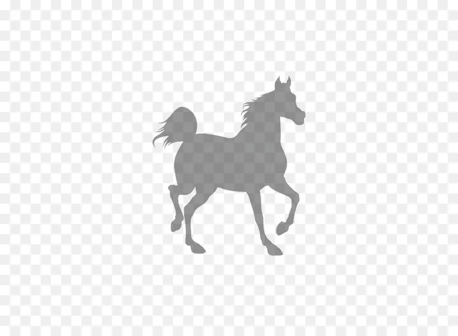 Shire De Caballo，Negro PNG