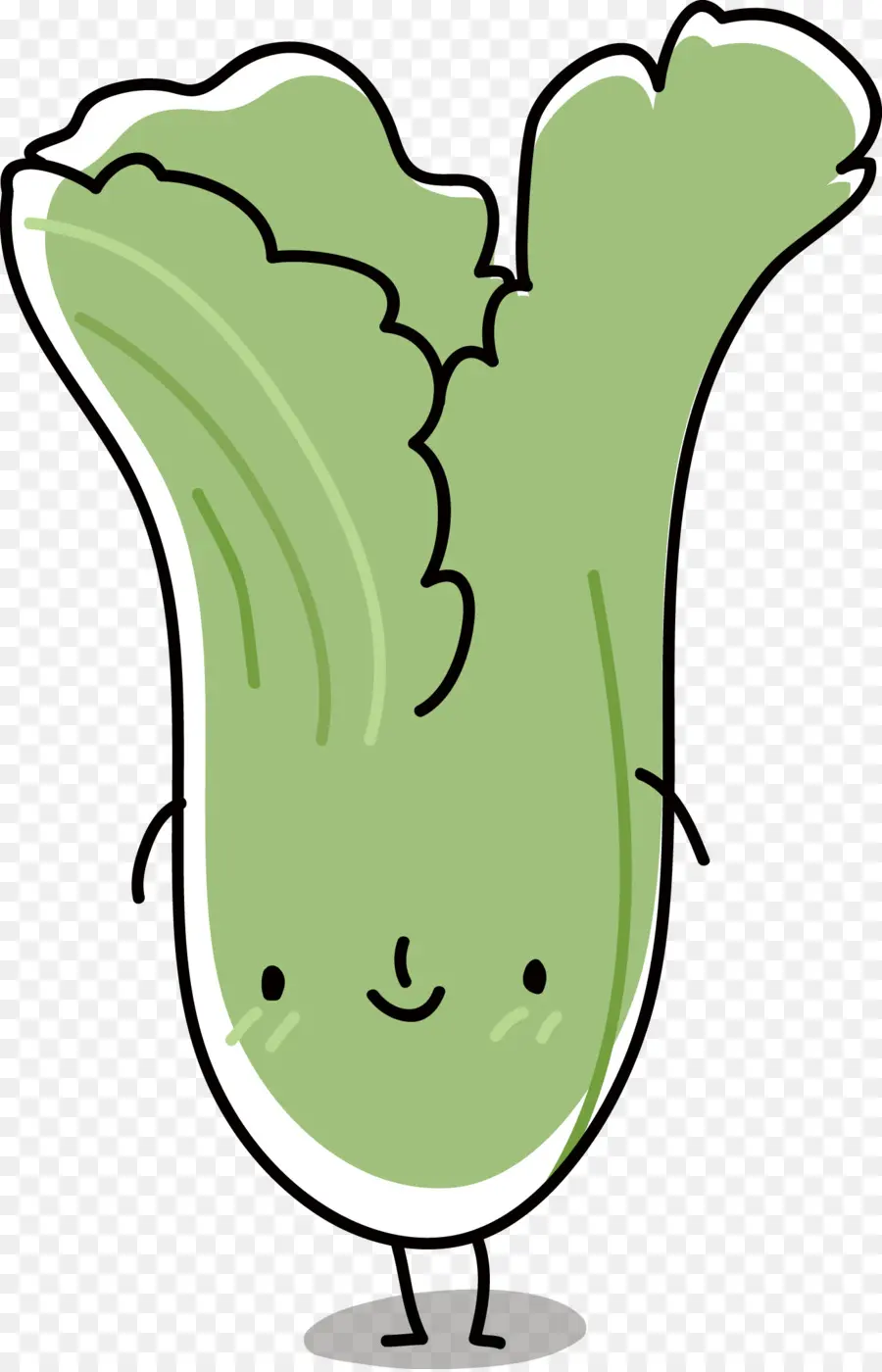 Lechuga De Dibujos Animados，Frondoso PNG