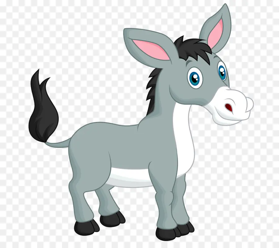 Burro，Mula PNG