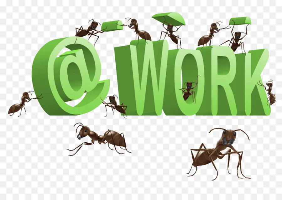 Ant，Hormigas En El Trabajo PNG