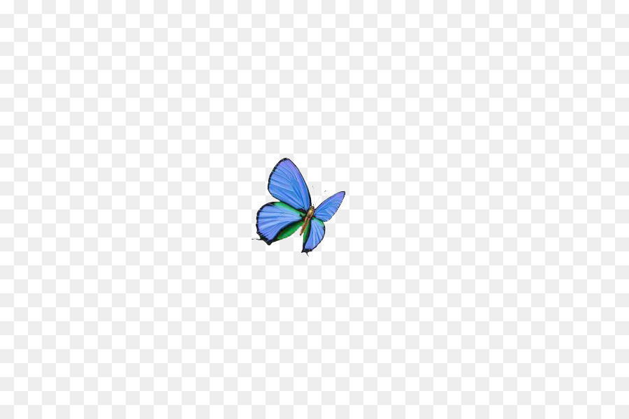 Mariposa，Azul PNG