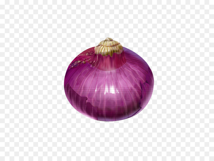 Cebolla，Deviantart PNG