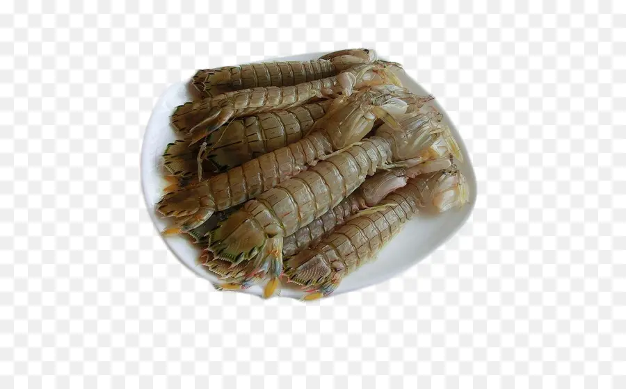 Mariscos，Camarón Mantis PNG