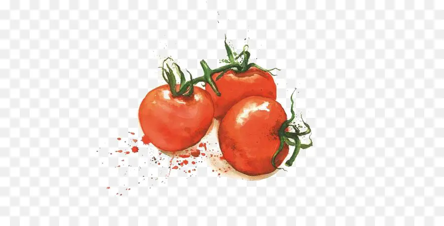 Tomates Rojos，Vid De Tomate PNG