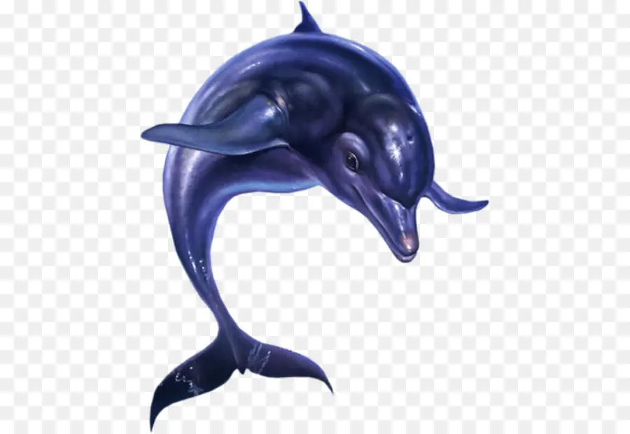 Ecco The Dolphin，Streets Of Rage 2 PNG