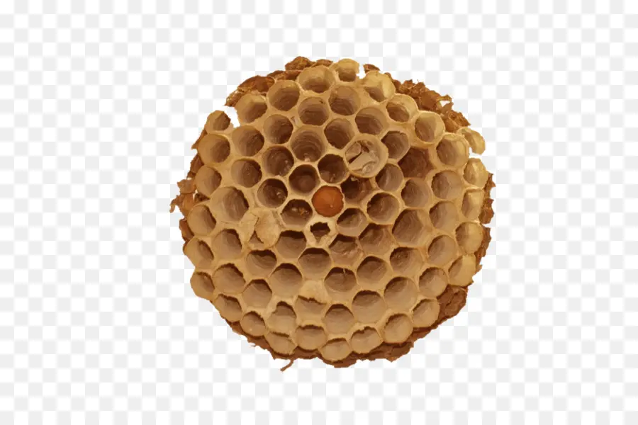 Panal，Abejas PNG