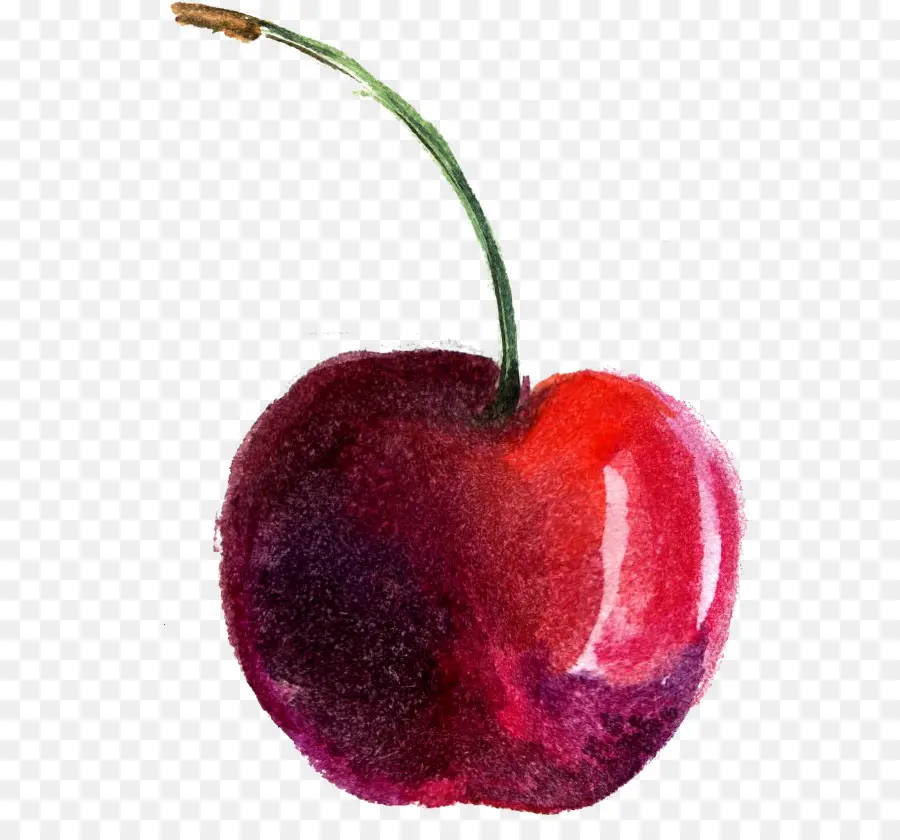 Pintura A La Acuarela，Cherry PNG