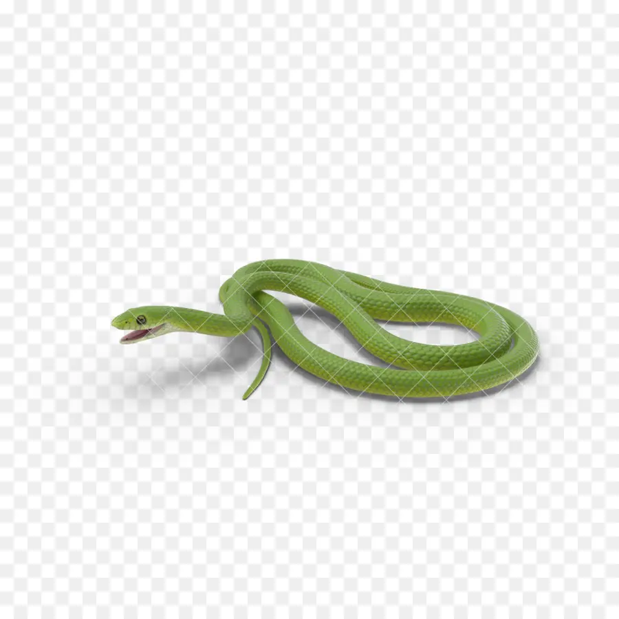 La Serpiente，Suave Serpiente Verde PNG